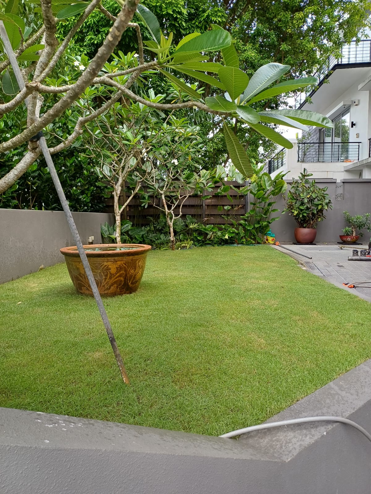 Grass Weeding and Maintenance